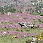 Lejlighed - Serra Do Geres *
